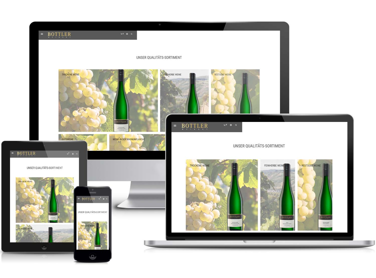 Webdesigner Webdesign Online-Shop Agentur aus Trier News Projekt #02 webdesign agentur trier News Projekt #36