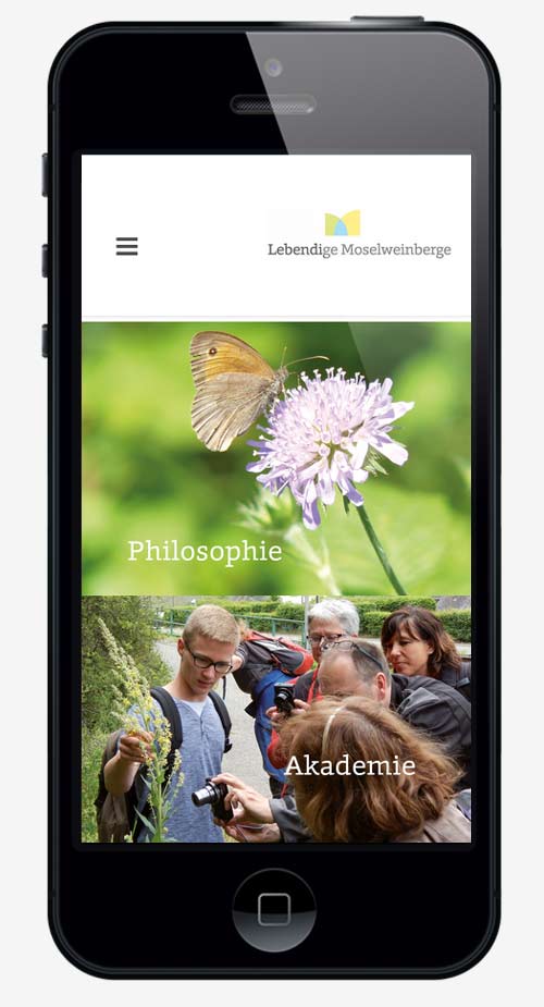 webdesign agentur trier projekt #07 smartphone
