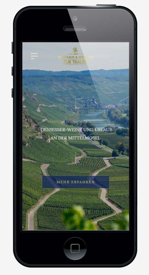 webdesign agentur trier projekt #21 smartphone