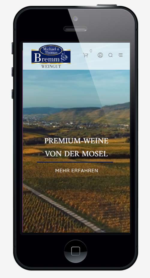 webdesign agentur trier projekt #28 smartphone