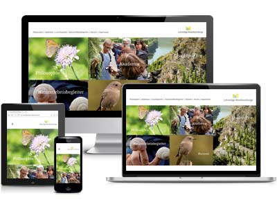webdesign agentur trier projekt #07